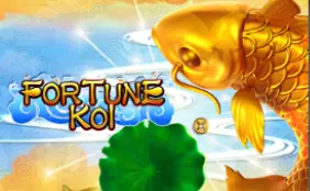 Fortune Koi